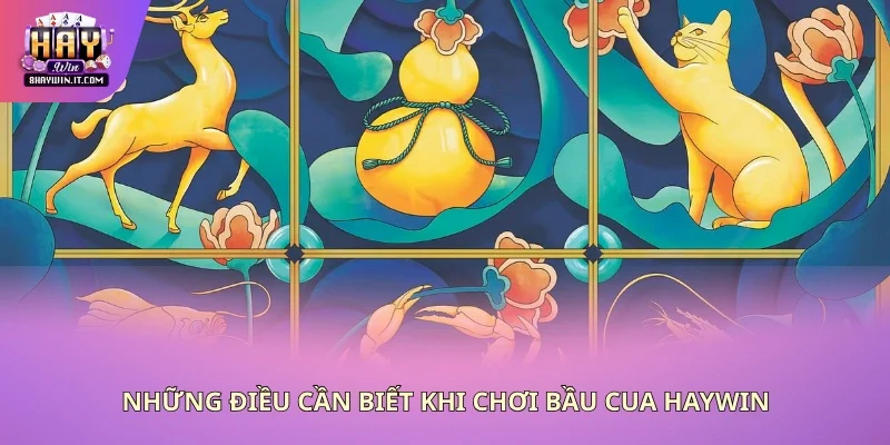 Một vài kiến thức quan trọng cần nhớ khi chơi cua bầu Haywin Một vài kiến thức quan trọng cần nhớ khi chơi cua bầu Haywin