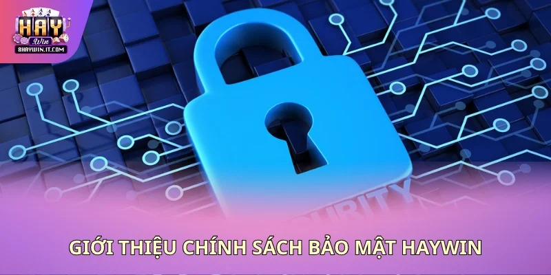 Giới thiệu chính sách bảo mật Haywin