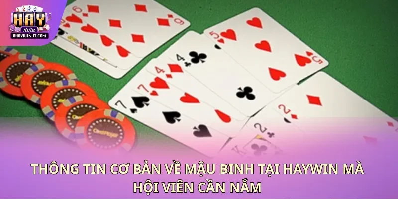 Thông tin cơ bản về mậu binh tại Haywin mà hội viên cần nắm Thông tin cơ bản về mậu binh tại Haywin mà hội viên cần nắm