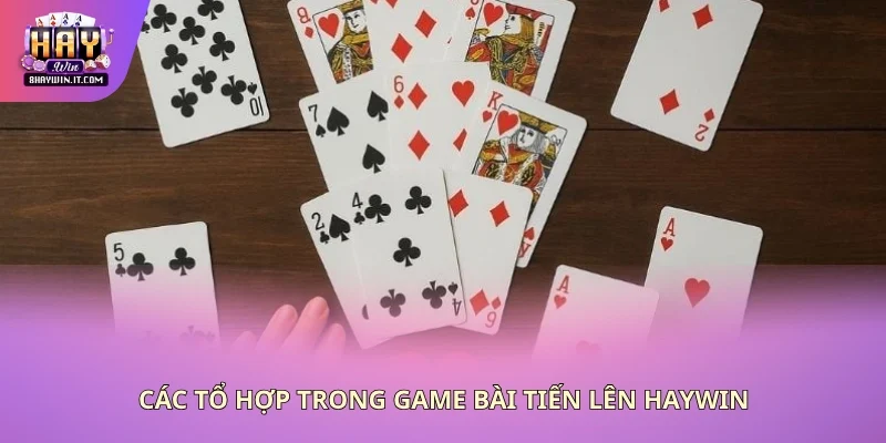 Một số thuật ngữ quan trọng