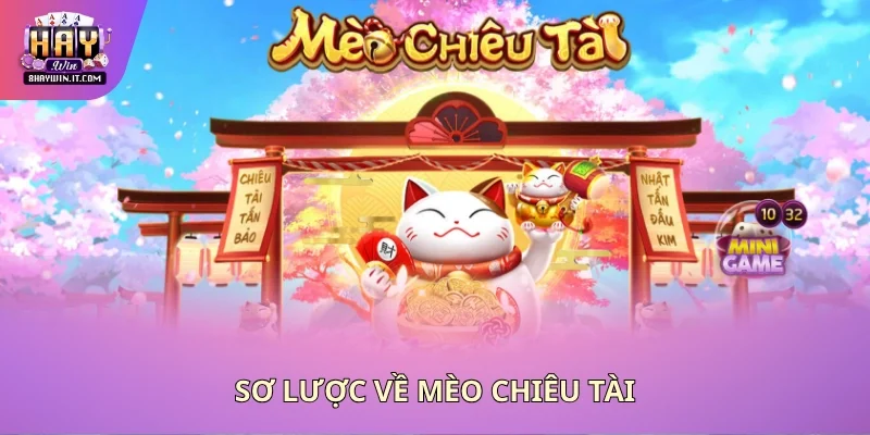 Sơ lược về mèo chiêu tài