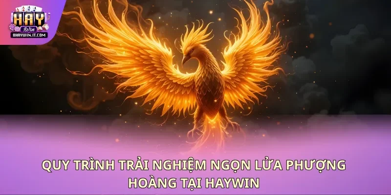 Quy trình trải nghiệm ngọn lửa phượng hoàng tại haywin