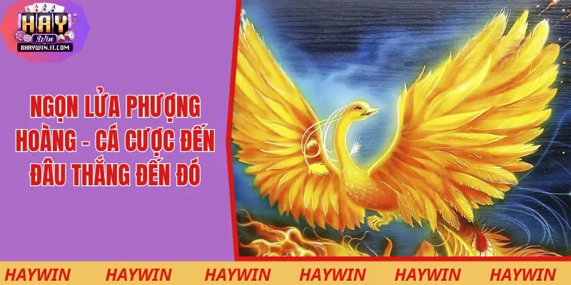 Ngọn Lửa Phượng Hoàng - Cá Cược Đến Đâu Thắng Đến Đó