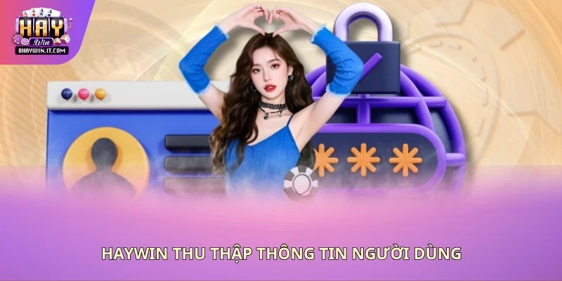 Haywin thu thập thông tin người dùng