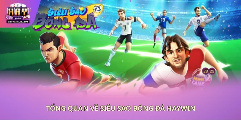Đôi nét giới thiệu về siêu sao bóng đá Haywin Đôi nét giới thiệu về siêu sao bóng đá Haywin