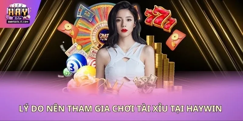 Lý do nên tham gia chơi tài xỉu tại Haywin Lý do nên tham gia chơi tài xỉu tại Haywin