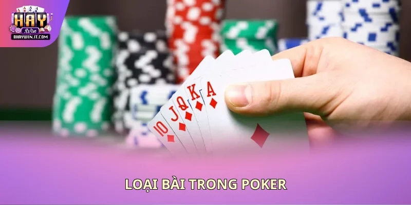 Loại bài trong poker Loại bài trong poker