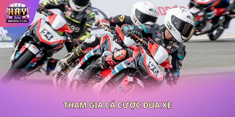 Tham gia cá cược đua xe Tham gia cá cược đua xe